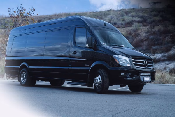 What Is The Best Way To Book Private Transportation To Disneyland?