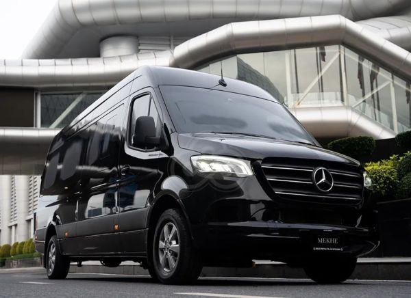 Disneyland Limo Anaheim | Private Car Service for Park Trips